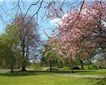 Rock Park, Barnstaple Picture