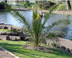 King's Gardens. Torquay Picture