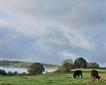 Higherwell Farm Holiday Park  Picture