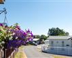 Landscove Holiday Park Picture