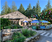 River Dart Country Park Restaurant - The Old Sawmill Picture