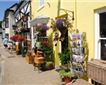 Modbury Tourist Information Centre Picture