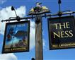 Ness (The) Picture