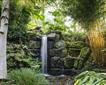 RHS Garden Rosemoor Picture
