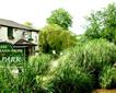 Watermans Arms Picture