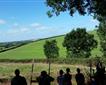 Clay Pigeon Shooting Picture