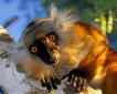 Porfell Wildlife Park Picture