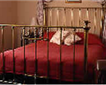 Lantern Lodge Hotel Picture