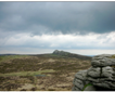 Dartmoor Butchers Picture