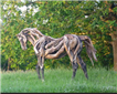 Heather Jansch Picture