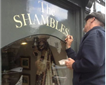Shambles of Ashburton  Picture