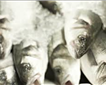 Brixham fish market Picture