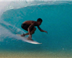 Destination Surf Picture
