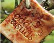 Odds & Suds Picture