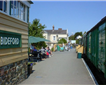 Bideford Picture