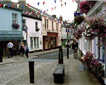 Buckfastleigh Picture