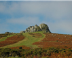 Dartmoor Picture