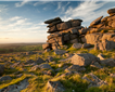 Dartmoor Picture