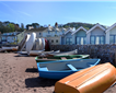Shaldon Picture