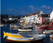 Teignmouth Picture