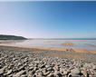 Westward Ho! Picture