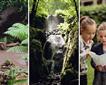Canonteign Falls Picture