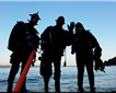 Aquanauts Picture