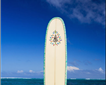 Devon - South Surfing Picture