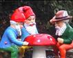 Gnome Reserve & Wild Flower Garden Picture
