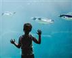 Living Coasts Zoo and Aquarium Picture