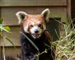Paignton Zoo Environmental Park Picture