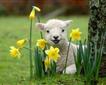 Pennywell Farm Picture