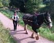 Tiverton Canal Company Picture