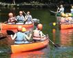 River Dart Country Park Picture