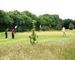 Oak Mead Family Pitch and Putt Picture