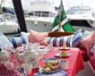 The Picnic Boat Picture