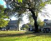 Widecombe in the Moor Picture