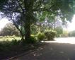 Devonport Park Picture