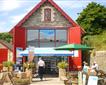 Ilfracombe Aquarium Picture