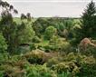 Marwood Hill Gardens Picture