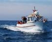Plymouth Boat Trips Picture