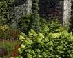 The Garden House Picture