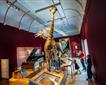 Royal Albert Memorial Museum & Art Gallery (RAMM) Picture