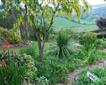 Plant World Gardens and Nursery Picture