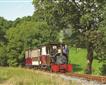 Launceston Steam Railway Picture