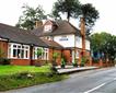 Otter Inn Picture