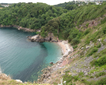 Ansteys Cove Beach Picture