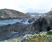 Capstone (Wildersmouth) Beach Picture