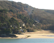 Mill Bay Picture