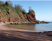 Watcombe Beach Picture